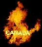 http://www.canadanewyork.com/