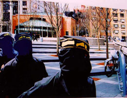 art lovers photo