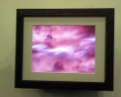 art lovers photo