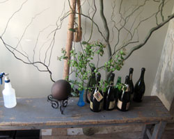 studio visit photo