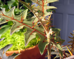 studio visit photo