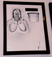 art lovers photo
