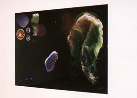art lovers photo